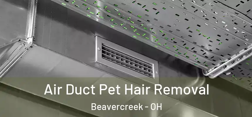  Air Duct Pet Hair Removal Beavercreek - OH