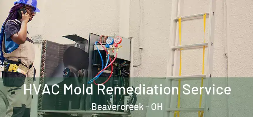  HVAC Mold Remediation Service Beavercreek - OH