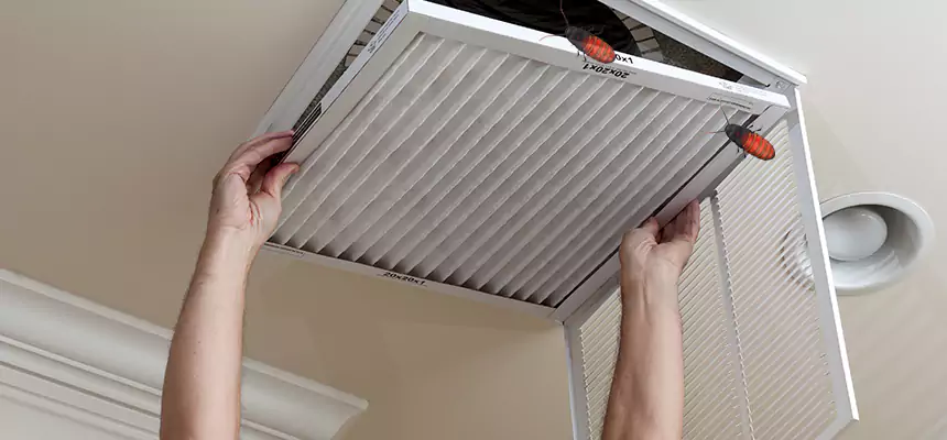 Preventive Cockroach-Proofing for Ducts in Beavercreek