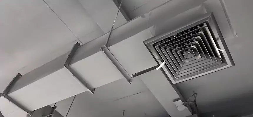 Our Pest Removal From Ducts Services in Beavercreek, OH