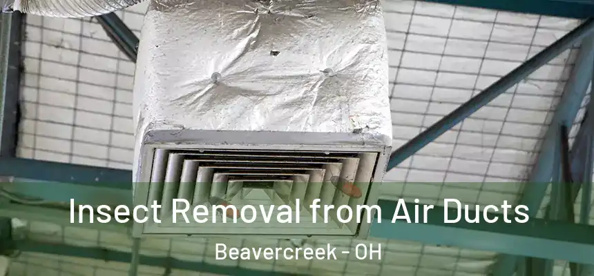  Insect Removal from Air Ducts Beavercreek - OH