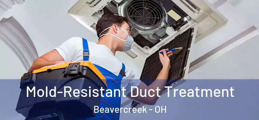  Mold-Resistant Duct Treatment Beavercreek - OH