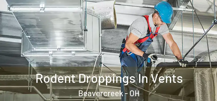  Rodent Droppings In Vents Beavercreek - OH