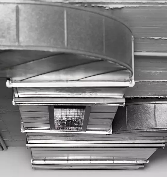 Professional Air Duct Pest Removal in Beavercreek, OH