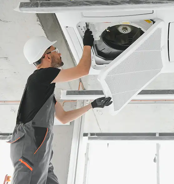 About Air Duct Rodent Removal in Beavercreek, OH