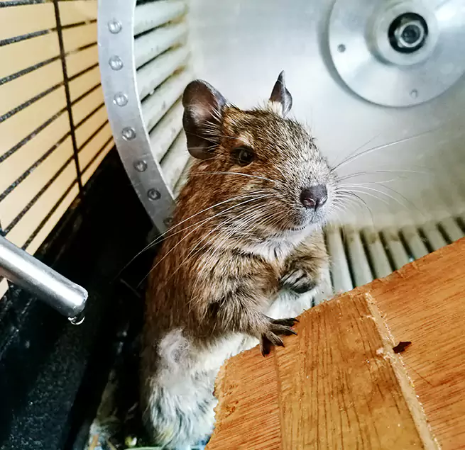 Why Homeowners & Businesses Trust Us Beavercreek, OH